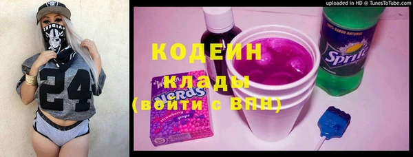 винт Ельня