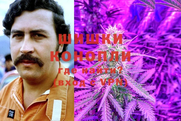 метадон Елизово