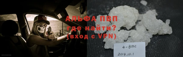 винт Ельня