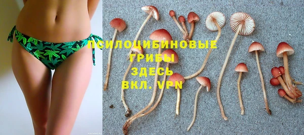 винт Ельня