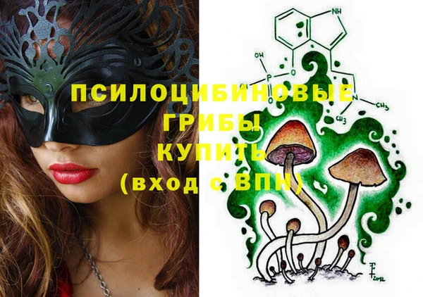 винт Ельня