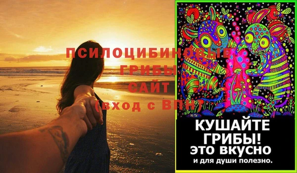 метадон Елизово