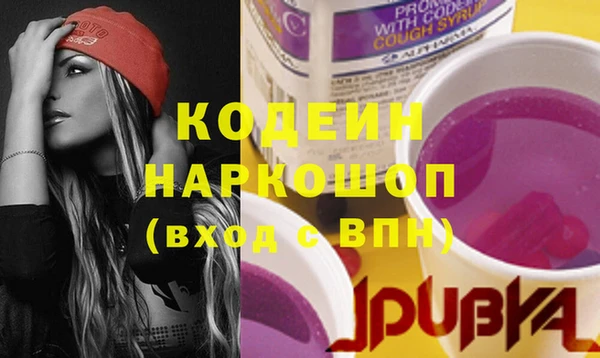 винт Ельня