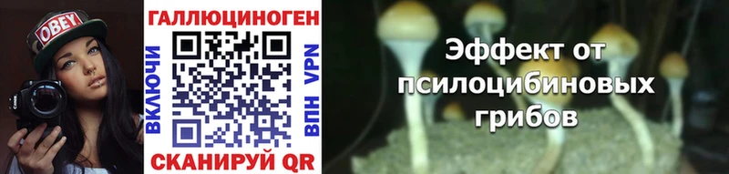 Псилоцибиновые грибы Magic Shrooms  Злынка 